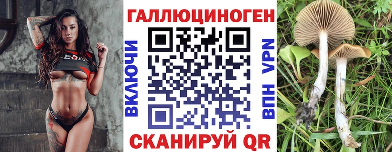 Псилоцибиновые грибы мухоморы Астрахань